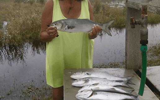 Angling Guests - Cape Hatteras Motel