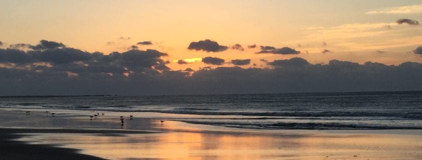 Circle of Life - Cape Hatteras Motel