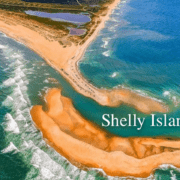 Shelly Island - Cape Hatteras Motel