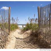 #1 Best Family Beaches - Cape Hatteras Motel