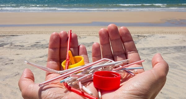 CapeAttitude Experiences - vacation add-on - keep the beaches clean