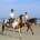 CapeAttitude Experiences - vacation add-on - hoseback riding