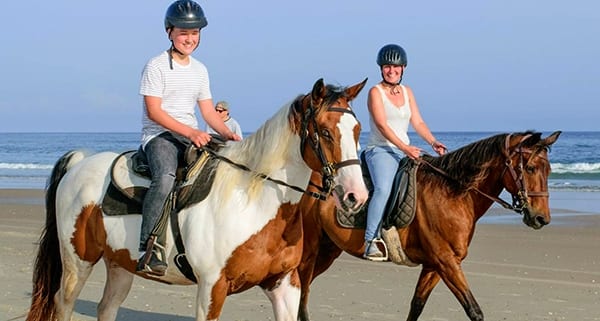 CapeAttitude Experiences - vacation add-on - hoseback riding